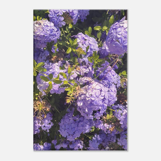 08198e8d-1307-46ac-a7ce-964a082cd301