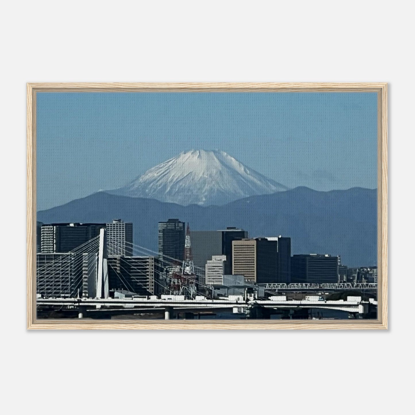 1899b795-a691-4e3a-a03a-40cf7fdd4a8a