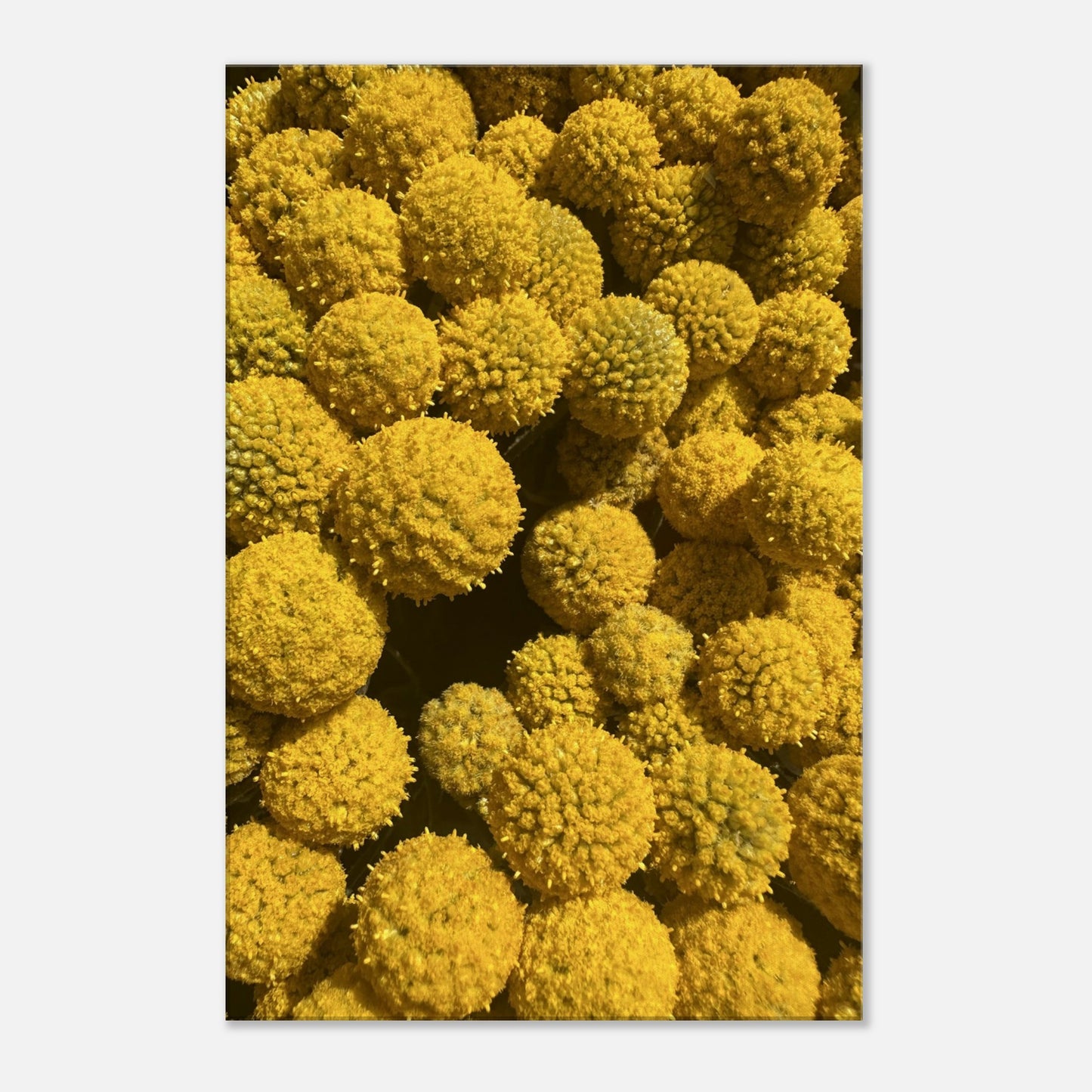 43f13df2-d40d-49a5-a57d-d05598205866