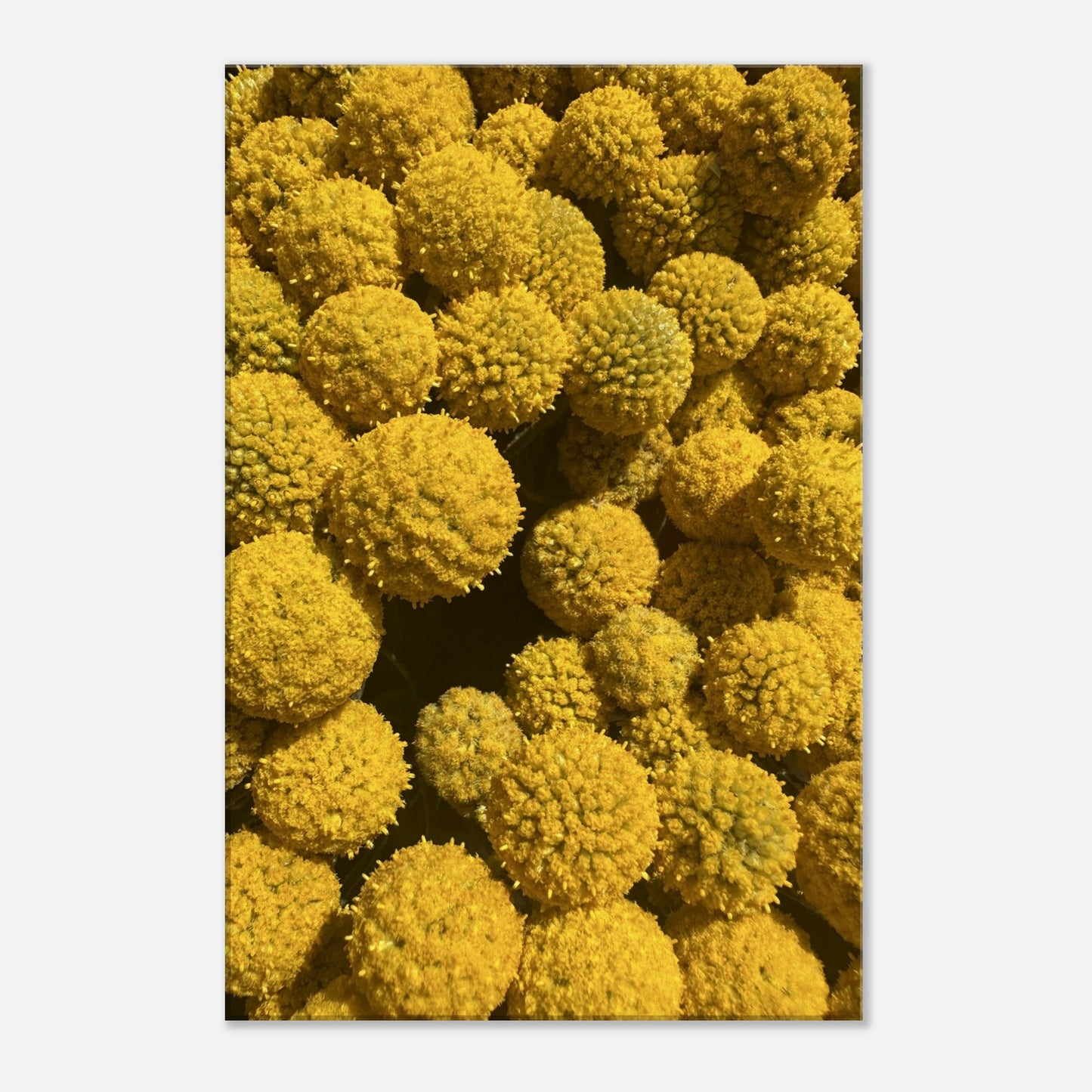 57284065-c315-4ff6-af02-07e37914fd18