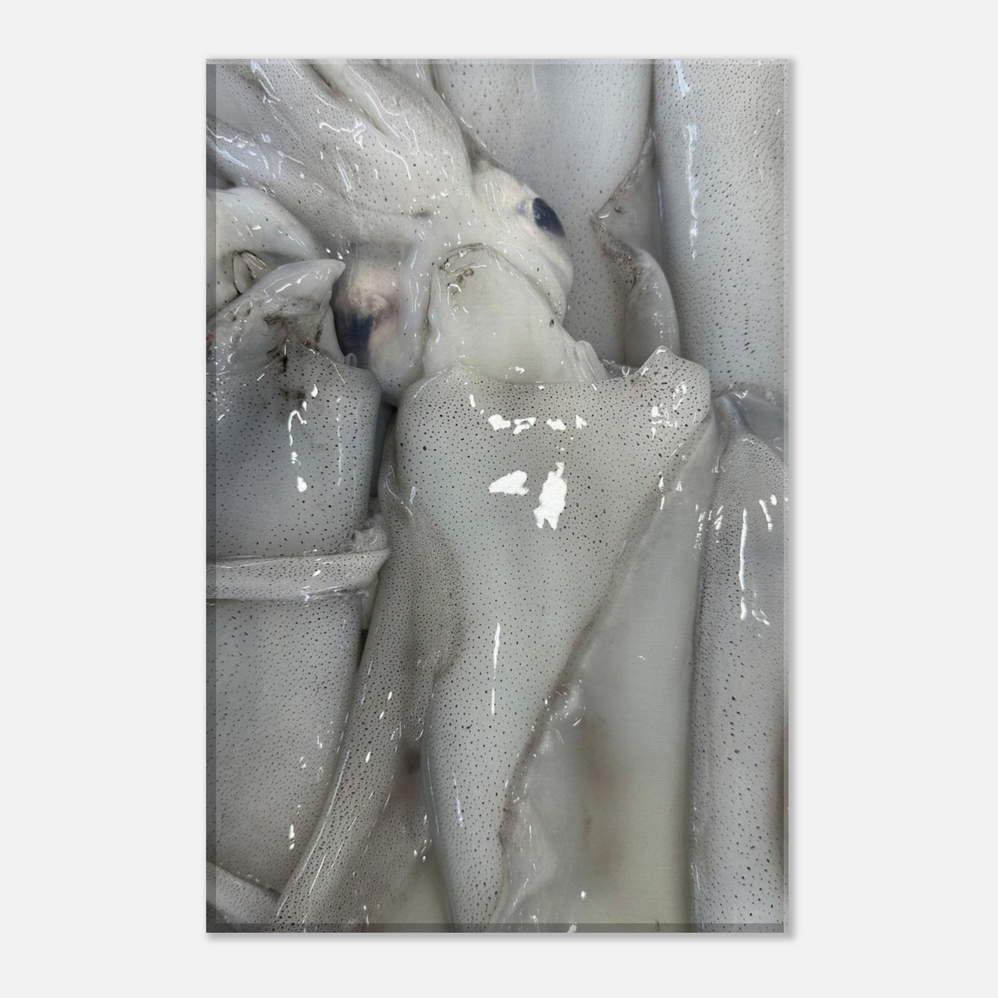 96f84dc2-e6c5-4e3a-baa5-e607ab810483