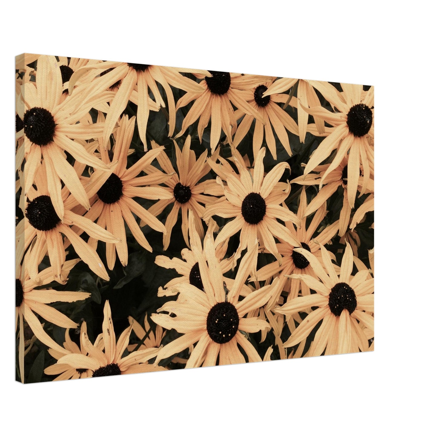 af3131eb-3a19-4587-ad23-f1c673657bbb