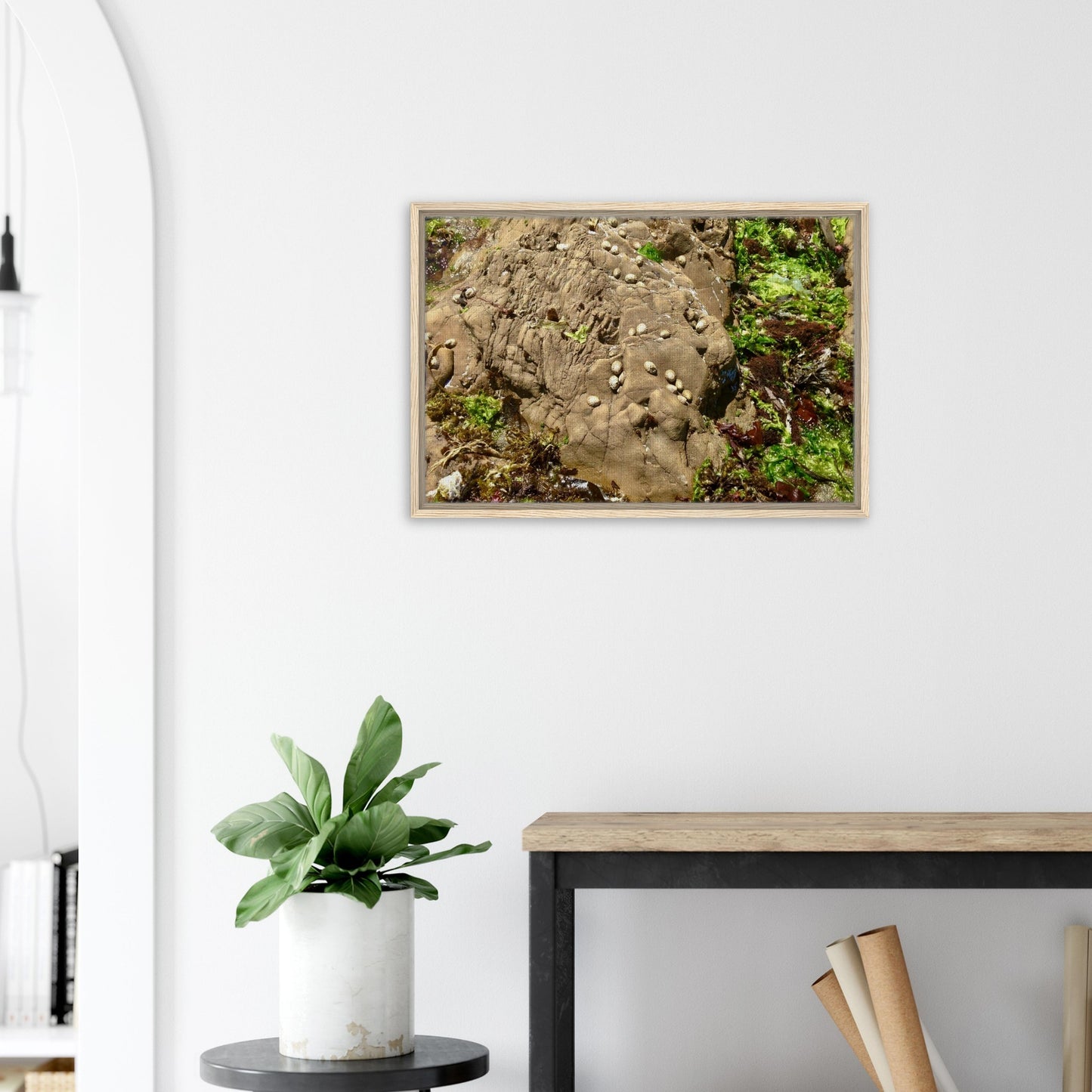 b2b9bca3-8b3e-4d7d-af4c-7a1e7bf1959d