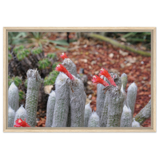 b3d946b7-2297-4baf-bf55-eb71bcdc3522