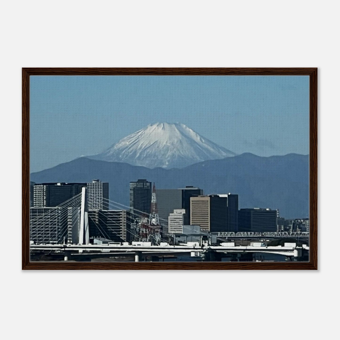 c804a28e-e2cd-4501-af50-4a5f082da39b