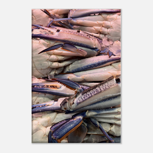 dbb7e6c6-fe06-44ad-8b21-8e865c58762b