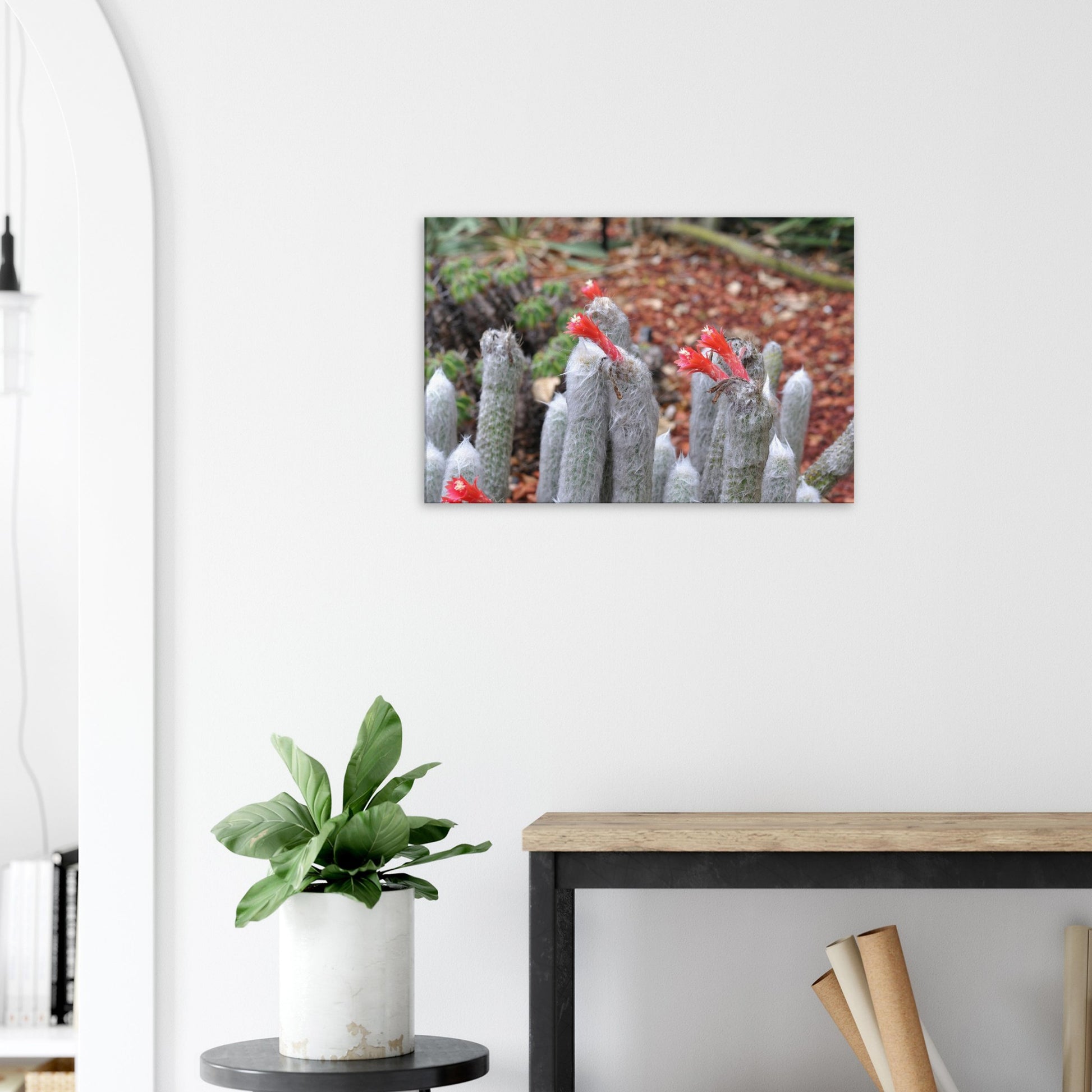 284b97ec-3840-45c8-9c49-1b746f8d8d95