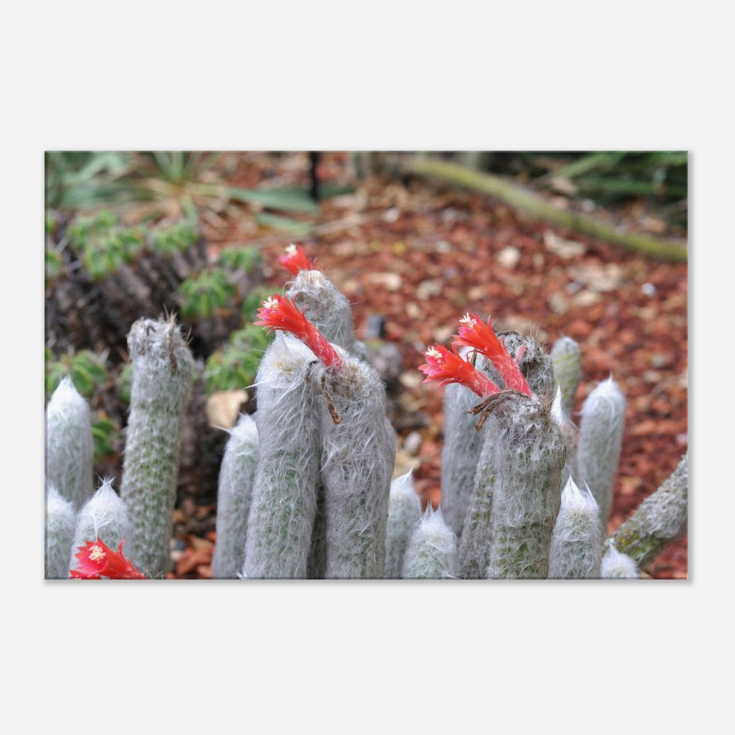 3ea3aa44-4a1d-4acb-bc02-2d00220a1f1d