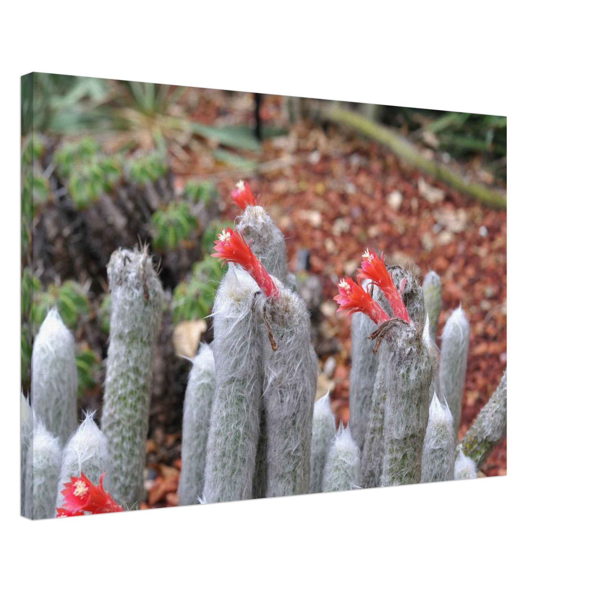 654af3ff-e004-4bb2-815b-4712bd0315b9