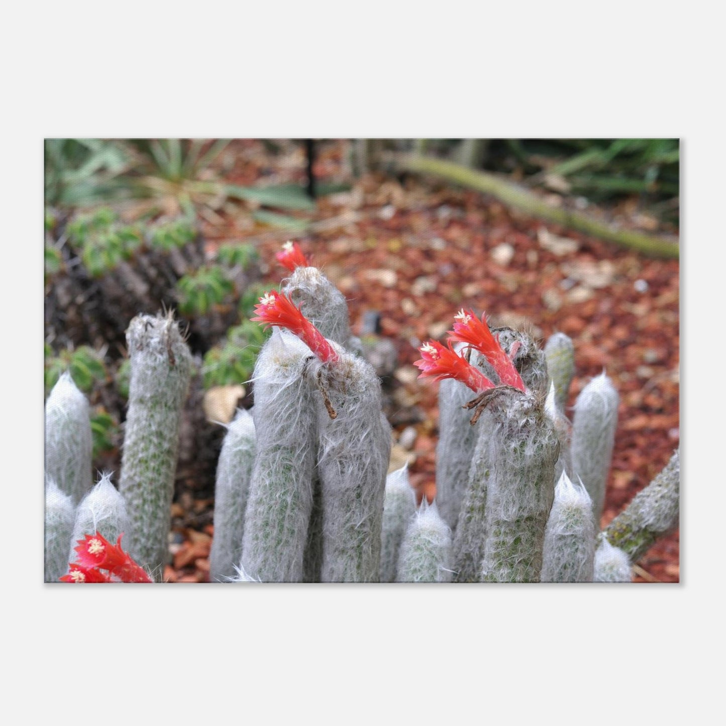 78de10cd-9605-4bc5-9fa9-6c4fd35e9bf0