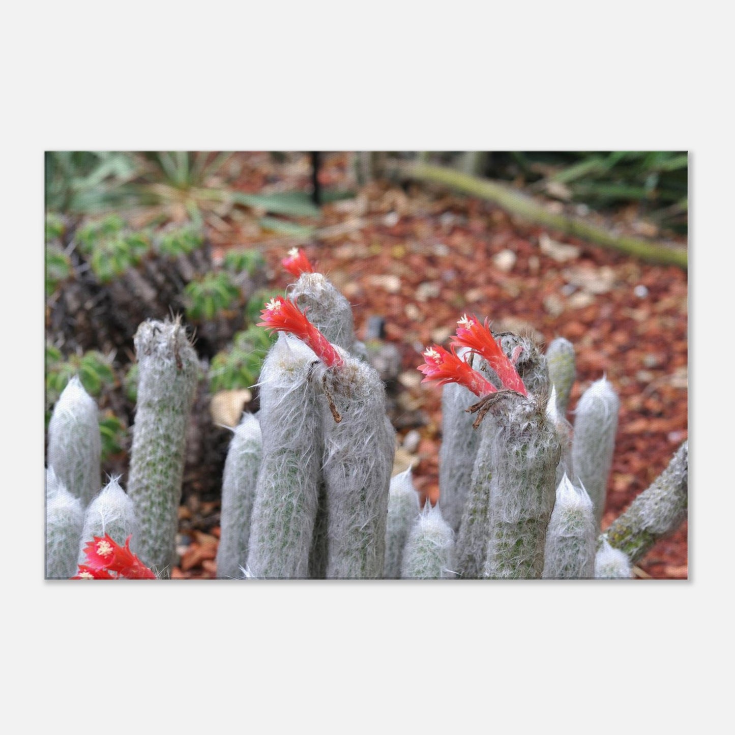 96296a36-2b9e-4834-b222-fedcbee20f60