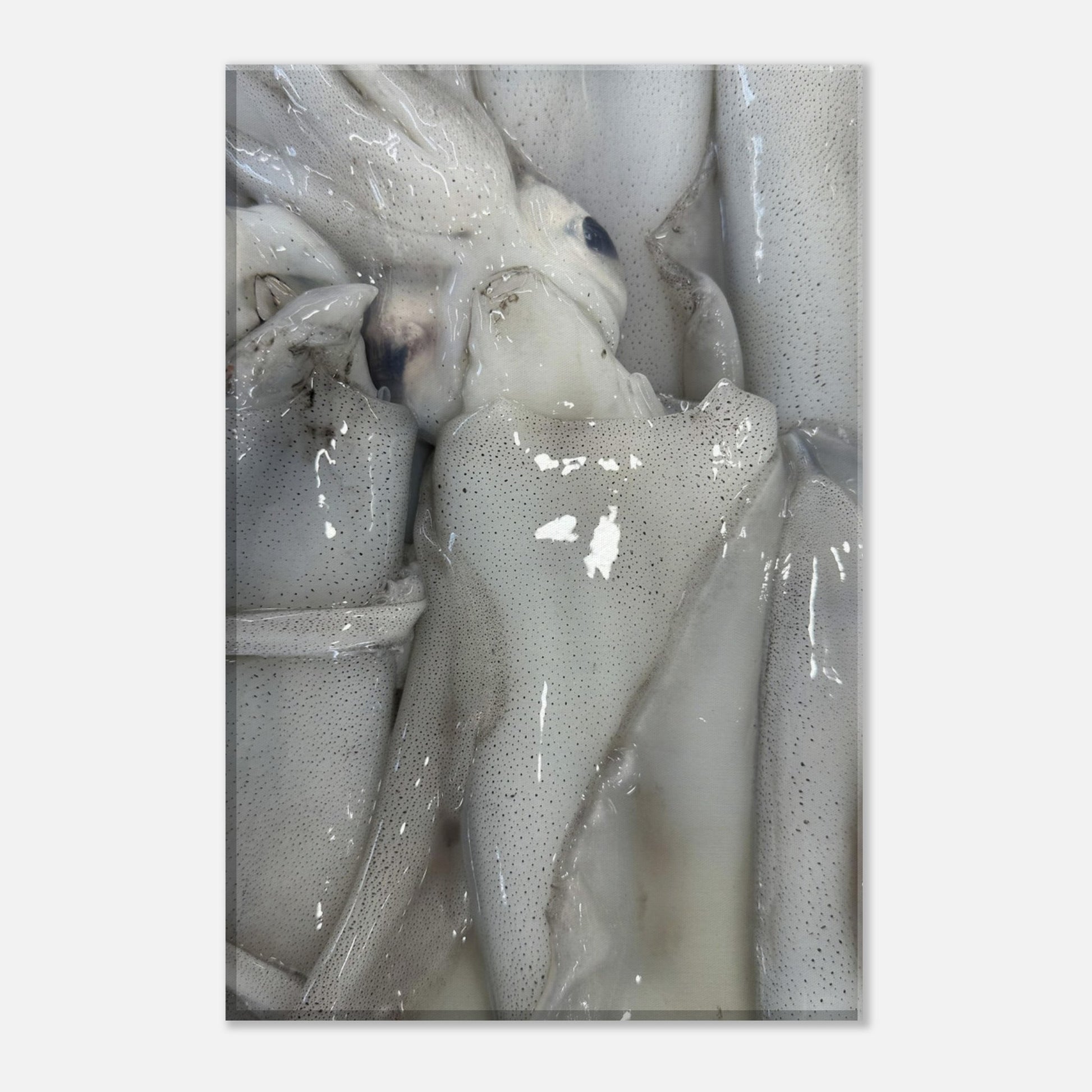 96f84dc2-e6c5-4e3a-baa5-e607ab810483
