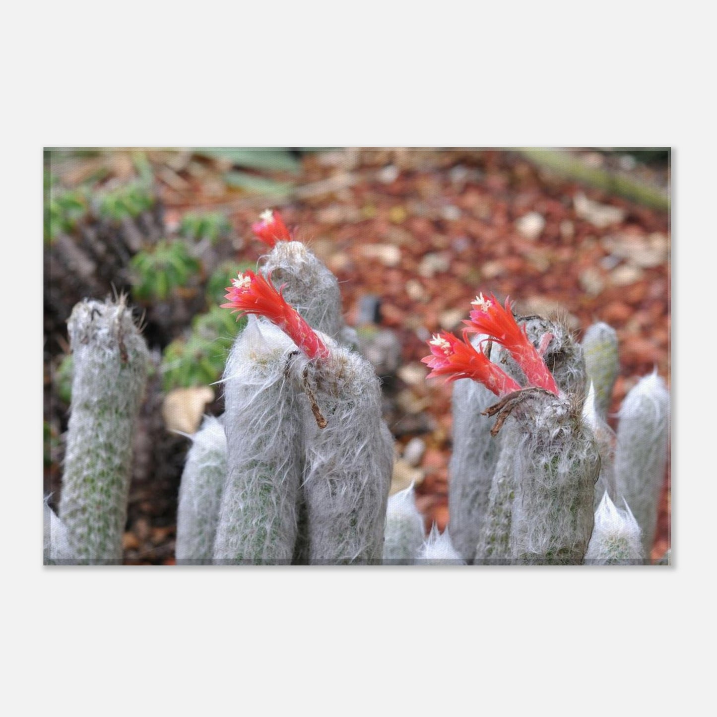 97347e63-4f2b-493e-a211-9d70dce62c85