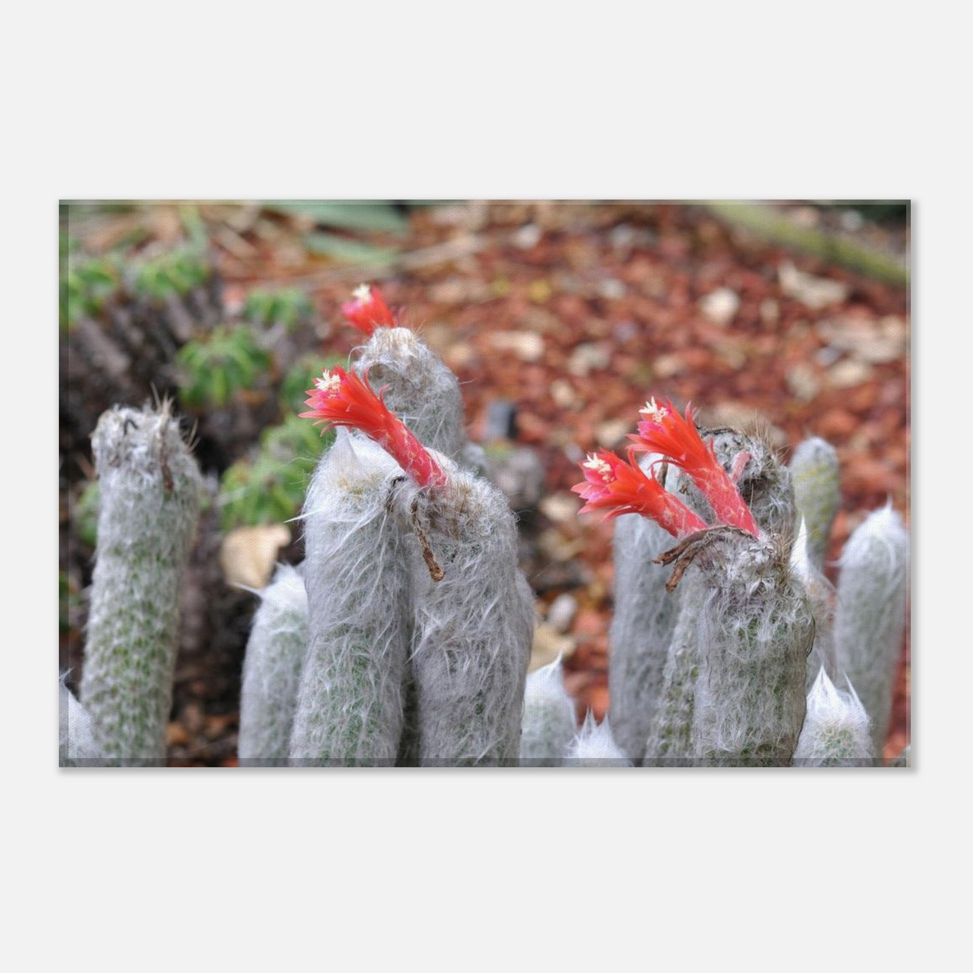 97347e63-4f2b-493e-a211-9d70dce62c85