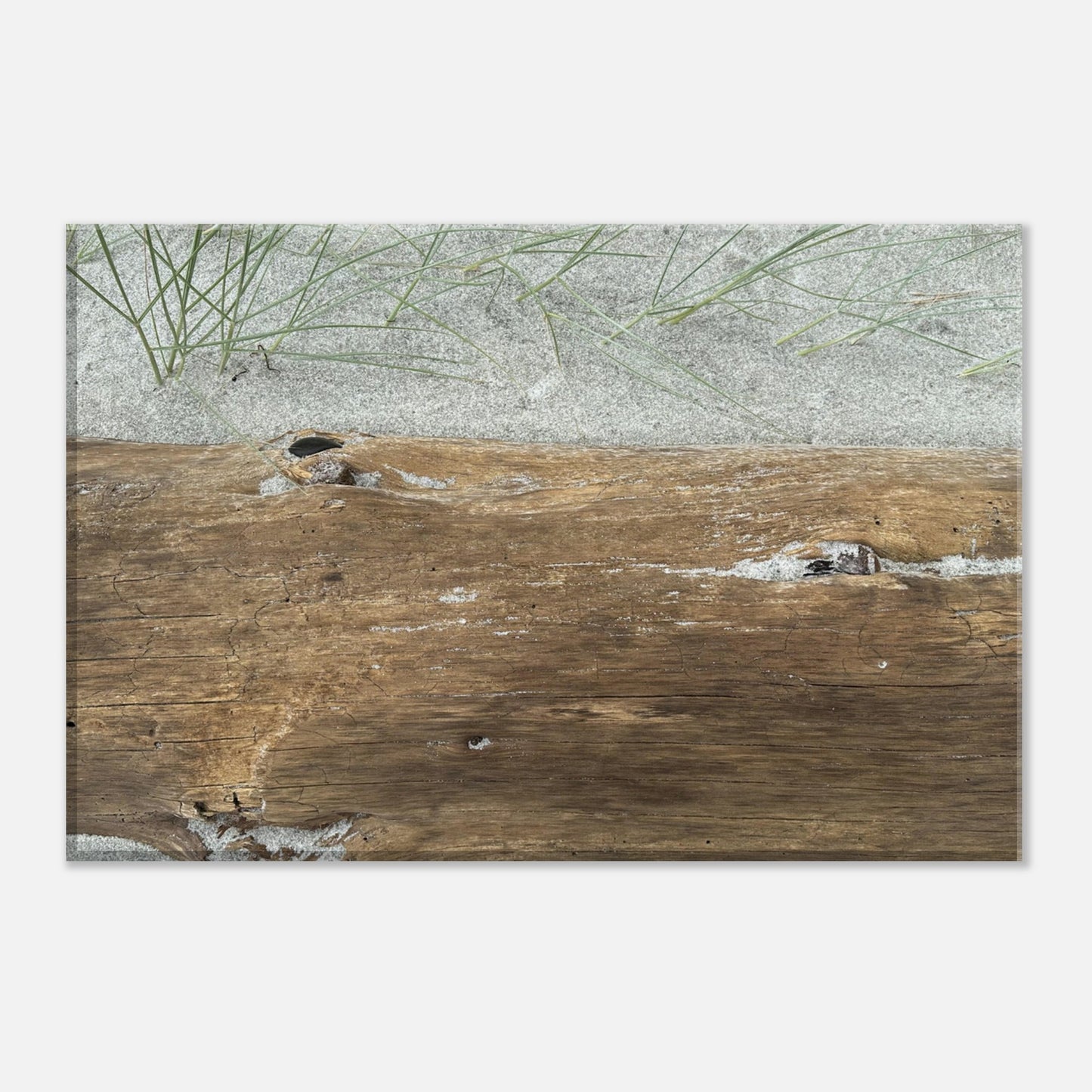 c2faa1e0-7aba-4700-97b4-d9c5082e9336
