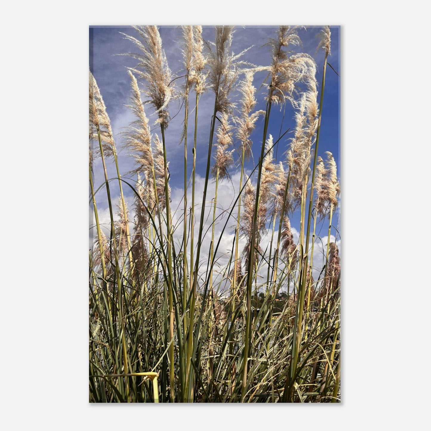 df1d8927-9769-4c42-a8c1-af5fad78ddbb