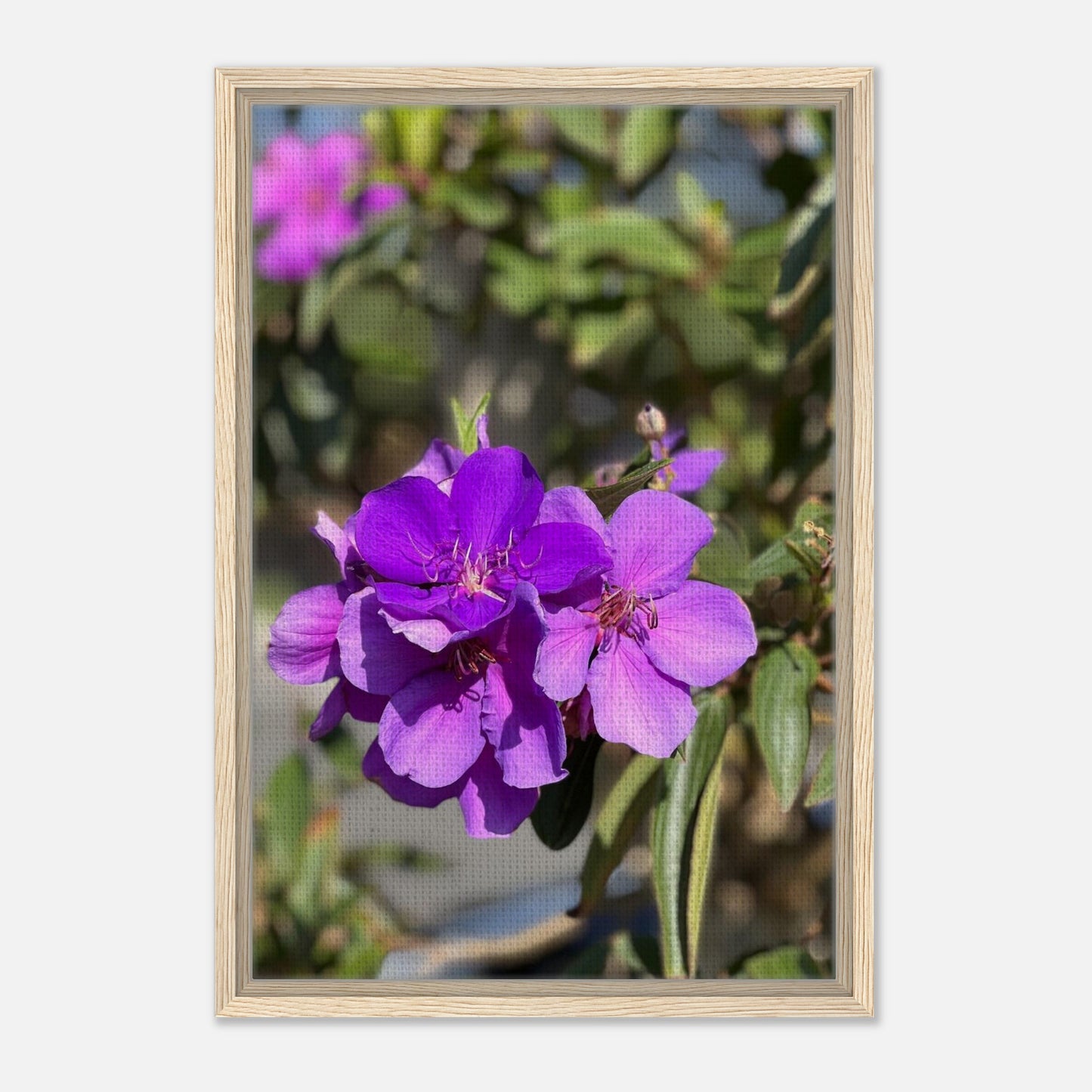 f8991387-79bb-48d9-872a-d1ee093d1570