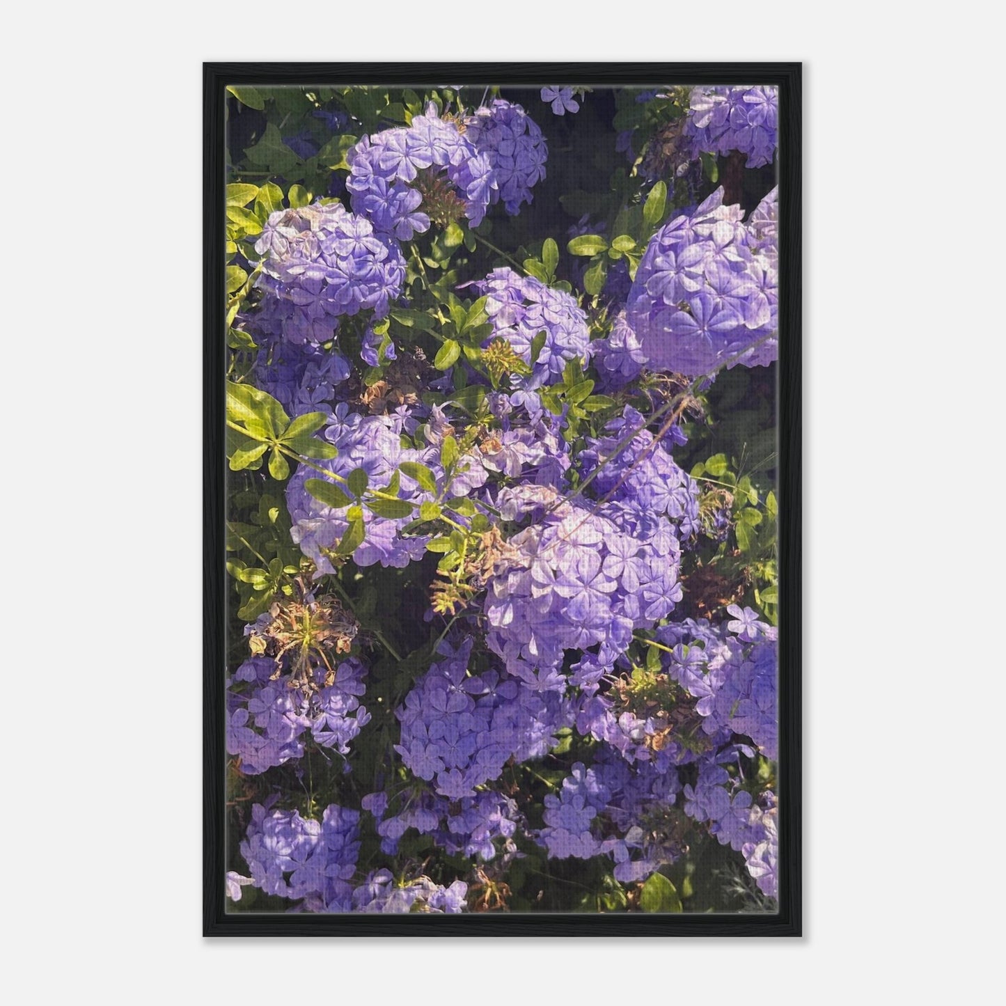 fb740bee-ade7-46c0-9e71-b043c6492d5b